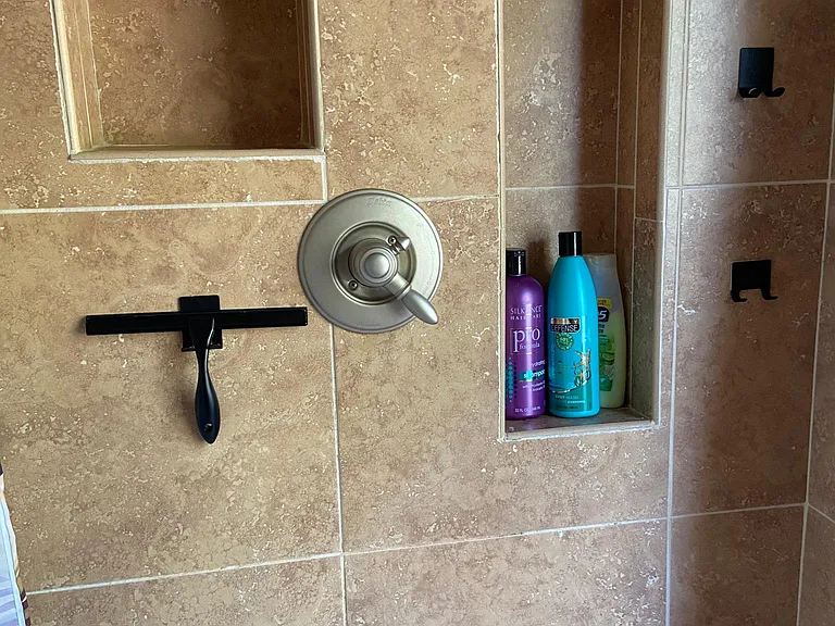 Master bathroom shower