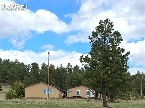 891 S Mountain Estates Rd, Florissant, CO 80816