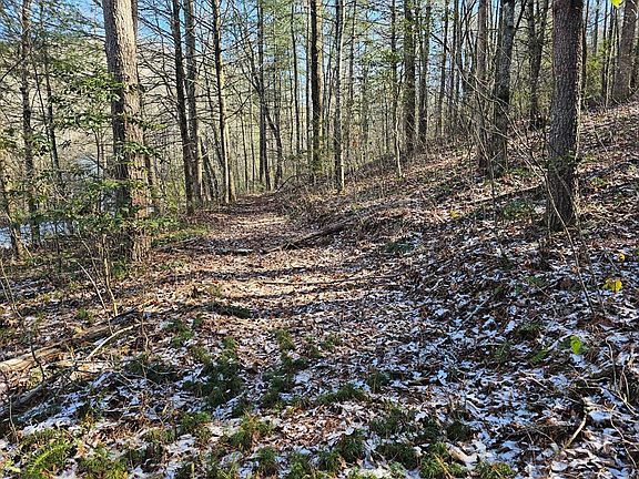 3rd image of 00 Beaver Dam Rd