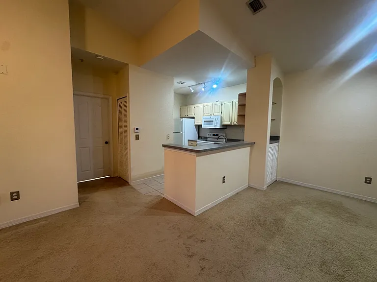 2603 Maitland Crossing Way #10305 — Photo 21