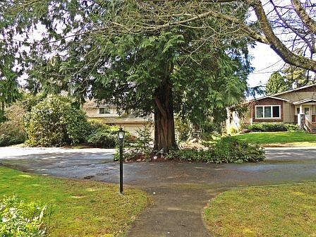 2nd image of 4715 Black Forest Ln