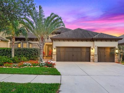 13823 Moonstone Canyon Dr, Riverview, FL, 33579