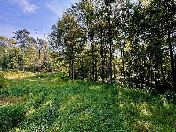3rd image of 2 Paradise Rd