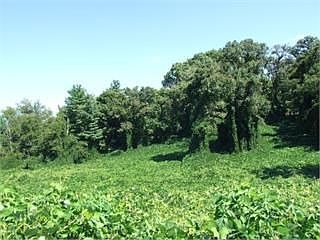5th image of 6702 Westland Dr