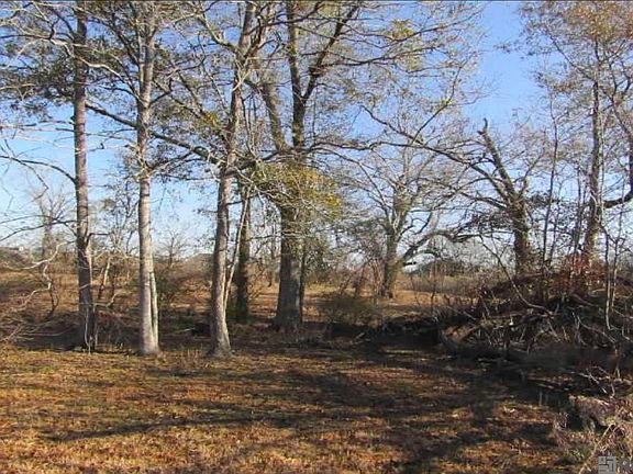 3rd image of 37160 Miller Rd