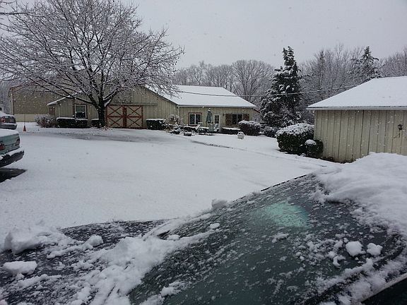 Snowy day...