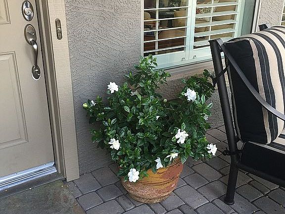 5th image of 6654 S Cartier Dr