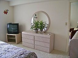 3rd image of 142 Palm Dr APT 4