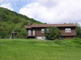 249 Hazel Rd, Livingston Manor, NY 12758