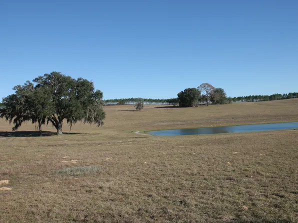 525 N Lake Shenandoah Loop, Inverness, FL 34453
