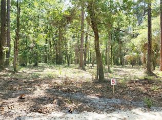 303 1st St NW, Steinhatchee, FL 32359