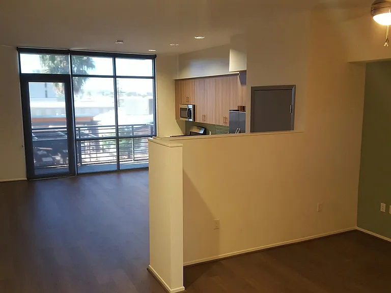 Olea — Photo 10