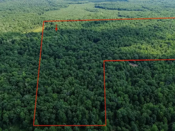 0 Center Fireline Trl, Beaverton, MI 48612