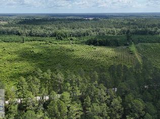 TRACT 3 Bennett Mill Pond Rd, Odum, GA 31555