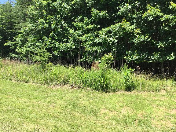 4th image of LOT 23 Tarragon Way