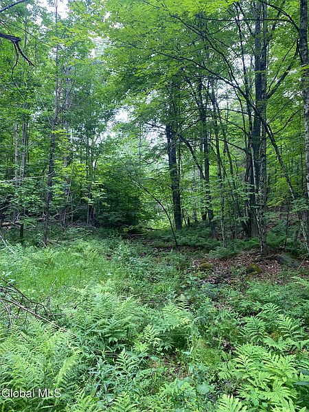 5th image of L20.130 Mcmurtry Road