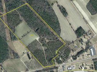 Senator Gasque Road Wise Chapel Ct #1729, Marion, SC 29571