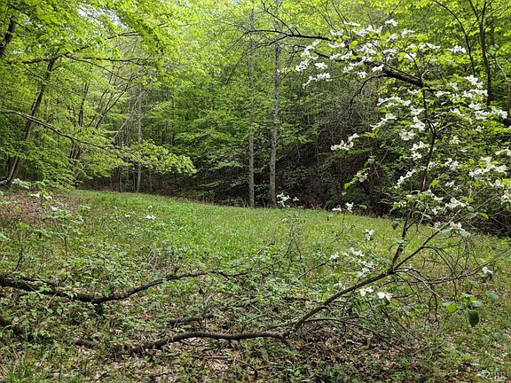 5th image of 379 Pinecrest Dr