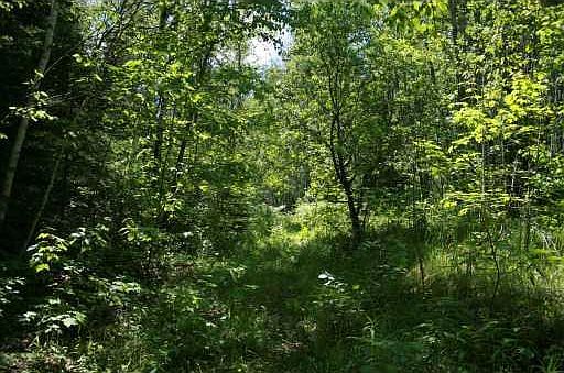 2nd image of 0 Campbell Road