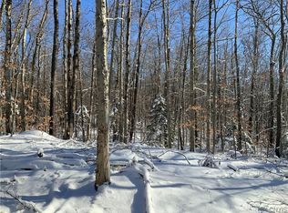0 County Road 119 Rd #9, Saint Johnsville, NY 13452