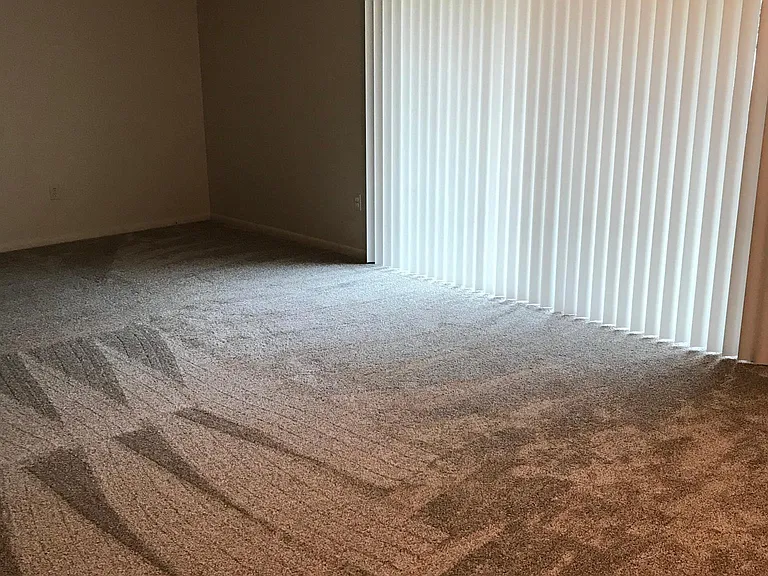 Living/dining area