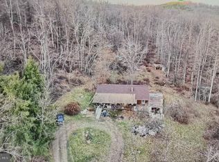 1008 Sandy Mountain Trl, Bloomery, WV 26817
