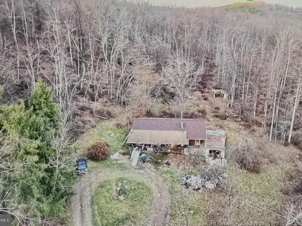 1008 Sandy Mountain Trl, Bloomery, WV 26817