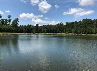 9 Meeting House Rd, Okatie, SC 29909