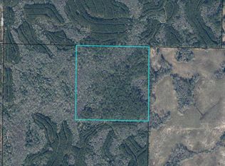 1600 Clemmons Rd, Bonifay, FL 32425