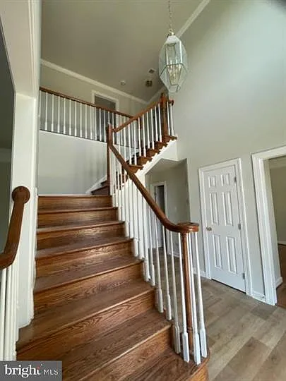 10804 Maplecrest Ln — Photo 5