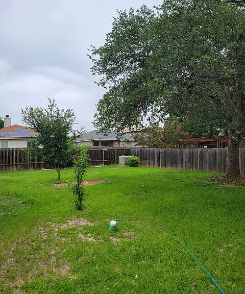 4023 Wisteria Way — Photo 18