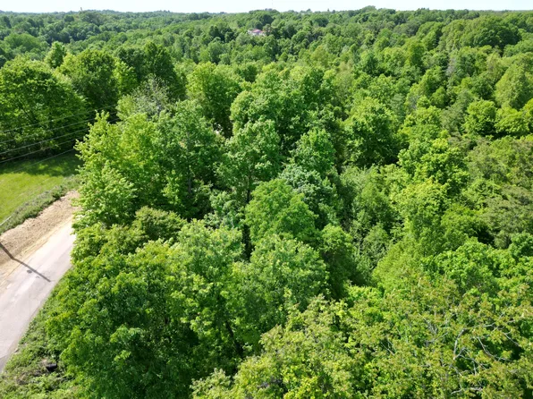 0 Virginia Ridge Rd, Philo, OH 43771
