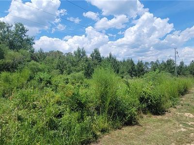 LOT 7 Whitpalm Dr, Independence, LA, 70443