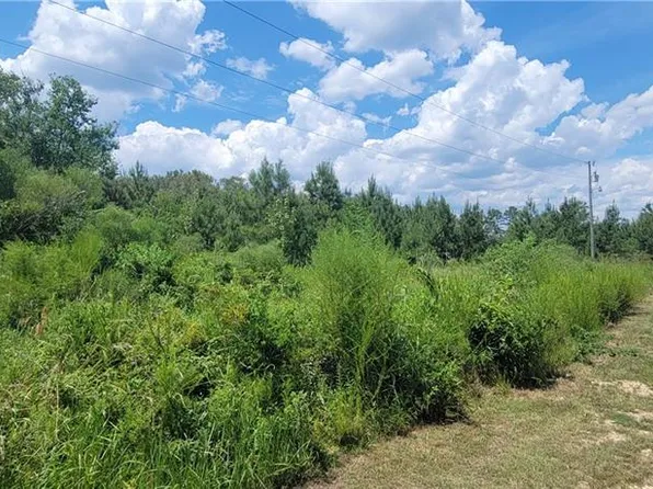 LOT 8 Whitpalm Dr, Independence, LA 70443