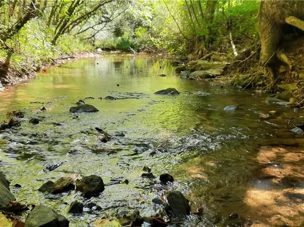 0 Highway 136 W, Talking Rock, GA 30175