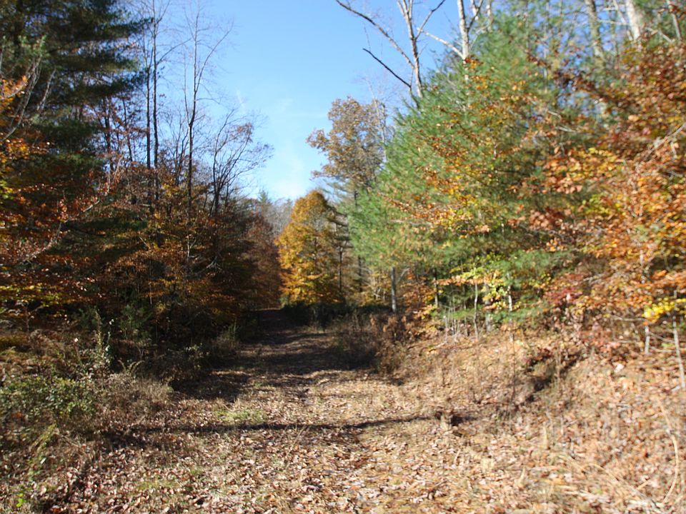 2nd image of Patton Rd
