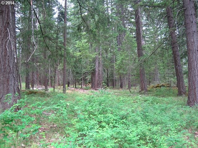 2nd image of Wood Rd