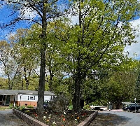 3rd image of 15 Acorn Ln