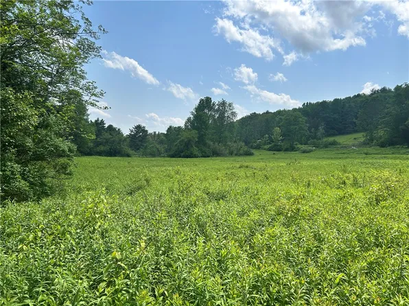 LOT 3 Oregon Rd Lot 3, Gilbertsville, NY 13776