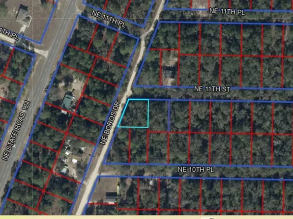 0 NE 11TH STREET LOT 11, WILLISTON, FL 32696