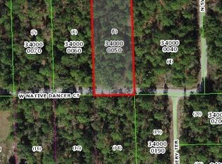 7843 W Native Dancer Ct, Dunnellon, FL 34433