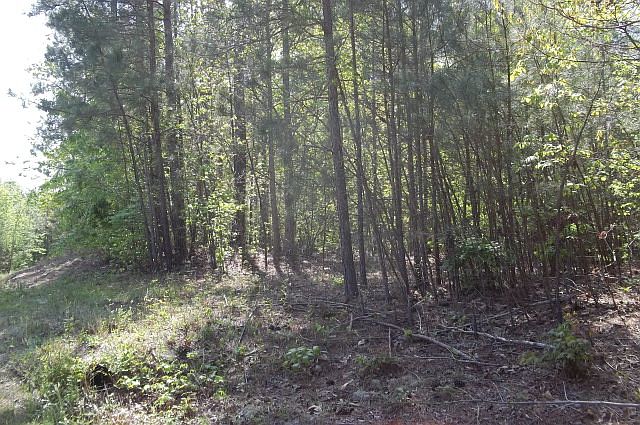 2nd image of 0 Milton Dr