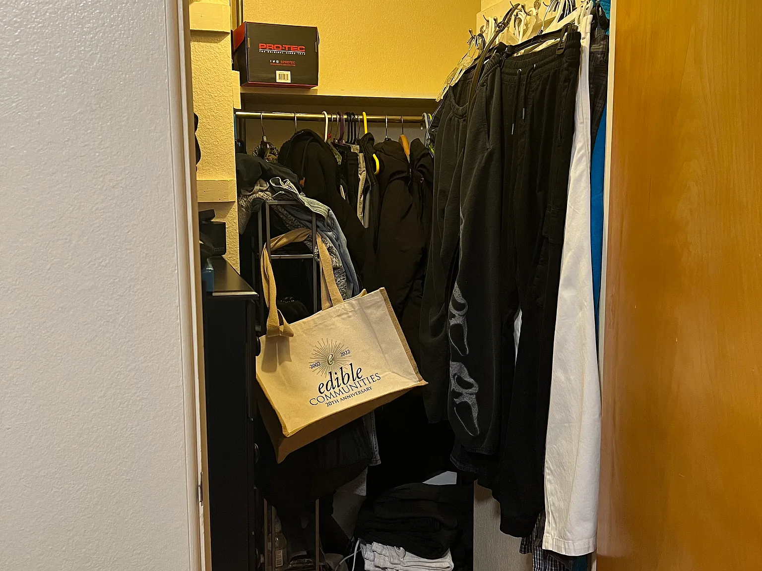 1 bed, 600 sqft, $1,595 — Photo 3