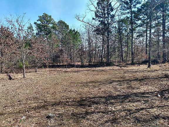 3rd image of 11317 E 484th Dr