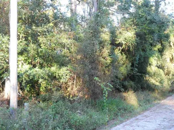 Xx Chipola St, Panacea, FL 32346