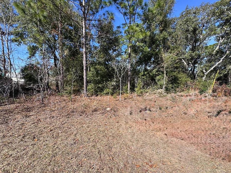 2nd image of 9052 N BURMANY WAY LOT 27