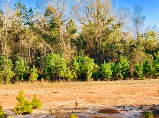 382 Old Perry Rd, Bonaire, GA 31005