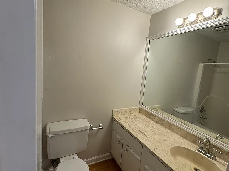 Hall bath with new hardware