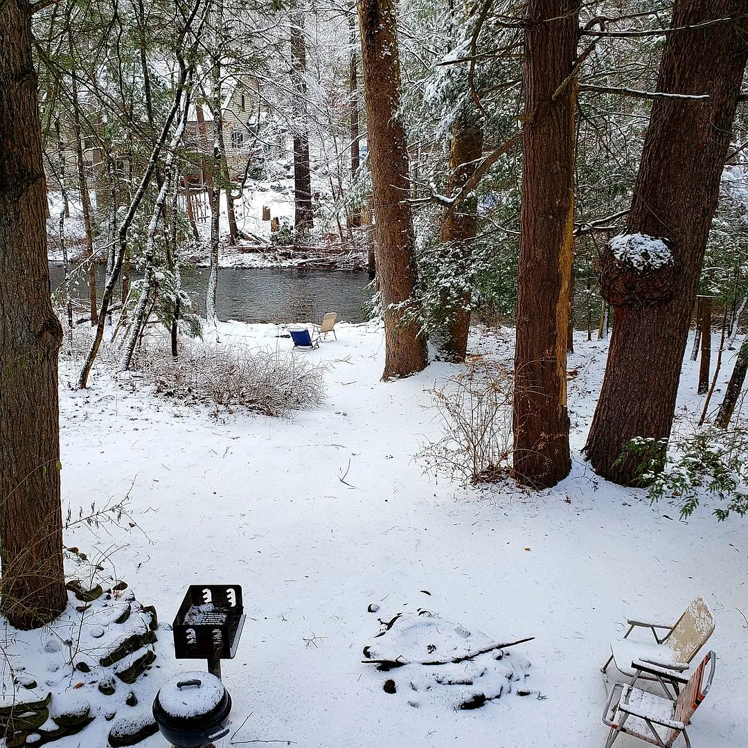 Gorgeous River Front Cabin in the Woods Fully Furnished! — Photo 2