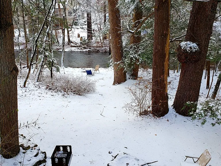 3530 Spruce Cabin Rd — Photo 2